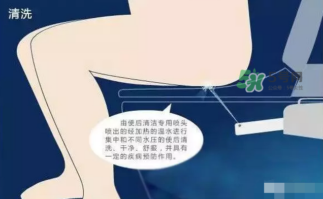 孕期可以蹲著上廁所嗎？孕期上廁所會壓到寶寶嗎？