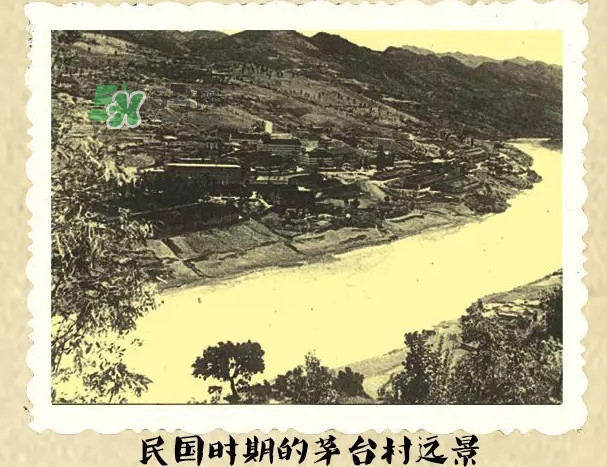 茅臺酒為什么那么貴？茅臺酒為什么這么貴