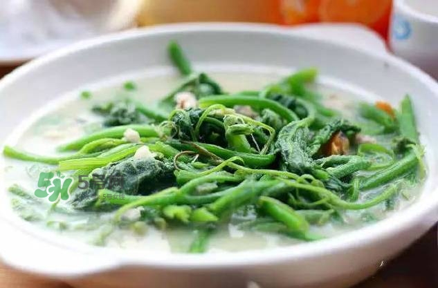 南瓜苗怎么做好吃？南瓜苗怎么撕？