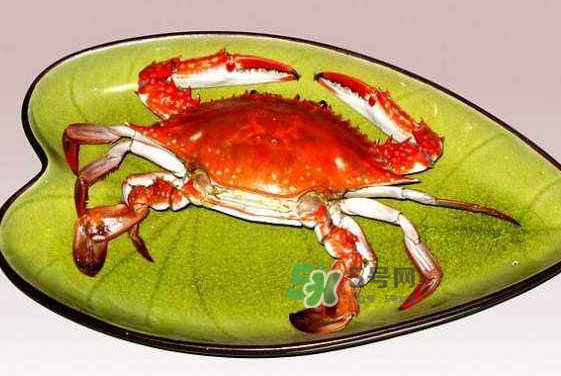 海螃蟹蒸多長時間？海螃蟹蒸多久？