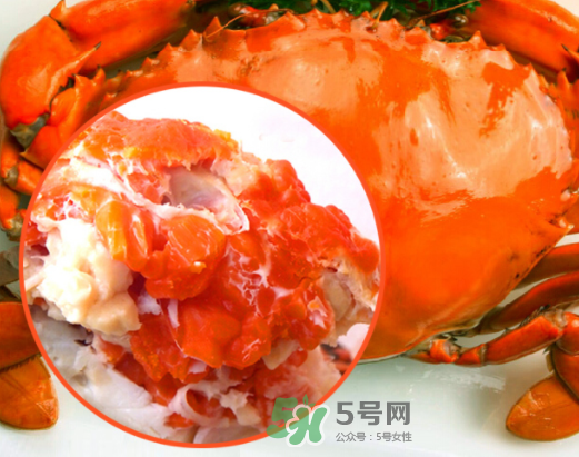 海螃蟹什么時候最肥？海螃蟹什么季節(jié)最好吃？