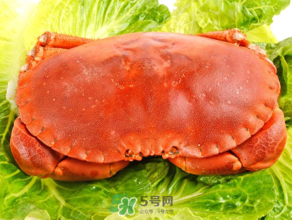 面包蟹和帝王蟹哪個好吃？面包蟹好吃還是帝王蟹好吃？
