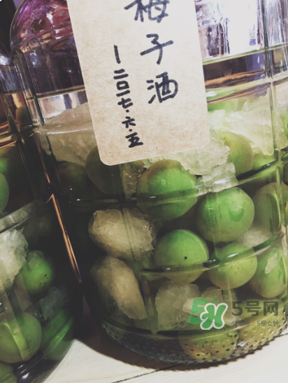 自制青梅酒的做法 青梅酒泡多久可以喝？