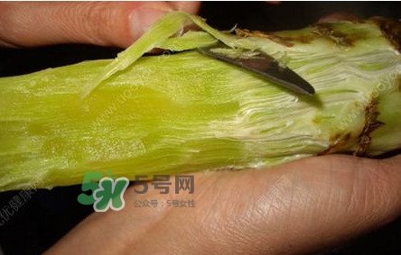 青筍怎么處理？青筍怎么切成菱形