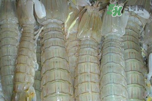 蝦蛄怎么讀？蝦蛄多少錢一斤