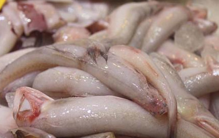 龍頭魚(yú)怎么做好吃？龍頭魚(yú)干怎么做好吃