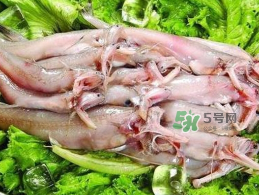 龍頭魚還有別的名嗎？龍頭魚有哪幾種做法