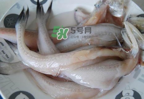 龍頭魚怎么殺？龍頭魚怎么處理？