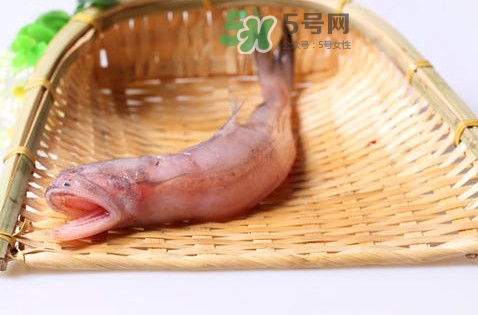 龍頭魚身是什么神獸？龍頭魚身是什么寓意