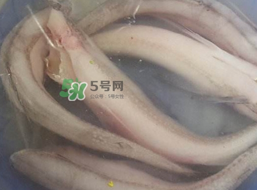 買龍頭魚怎么挑選？冰凍龍頭魚怎么去內(nèi)臟