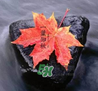 立秋后是不是早晚天氣涼？立秋后天氣有什么變化？