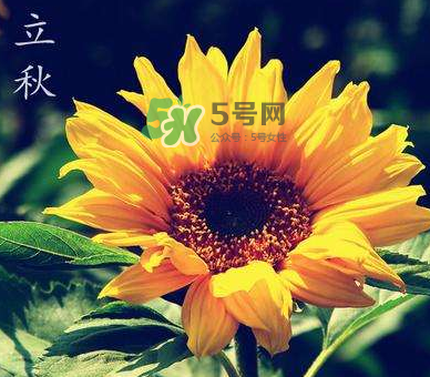 立秋后是不是早晚天氣涼？立秋后天氣有什么變化？
