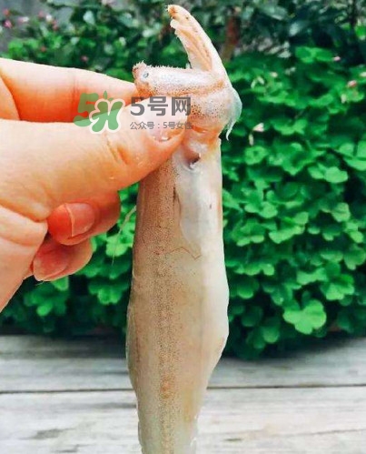 水潺怎么讀？水潺是海鮮嗎