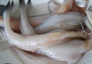 龍頭魚怎么殺？龍頭魚怎么處理？