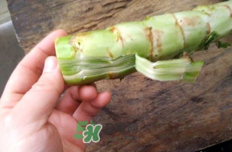 青筍怎么做好吃？青筍怎么去皮快