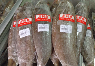 龍利魚怎么挑選？龍利魚與越南巴沙魚的區(qū)別