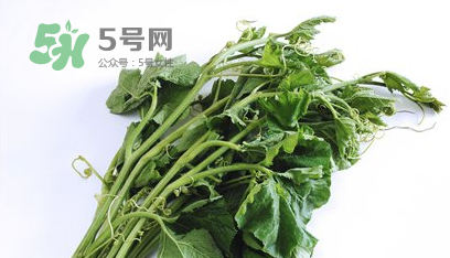 南瓜苗怎么做好吃？南瓜苗怎么撕？