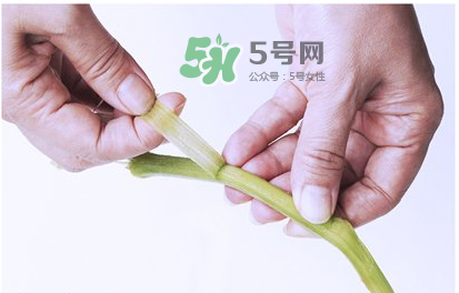 南瓜苗怎么做好吃？南瓜苗怎么撕？