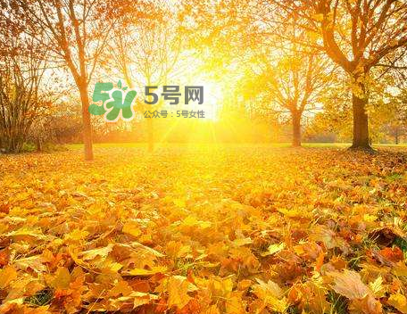 立秋后吃什么好？立秋后怎么養(yǎng)生？