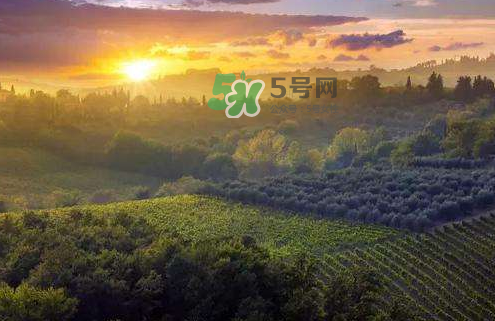 立秋后吃什么好？立秋后怎么養(yǎng)生？