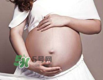 四維彩超的最佳時(shí)間 四維彩超什么時(shí)候做最好？