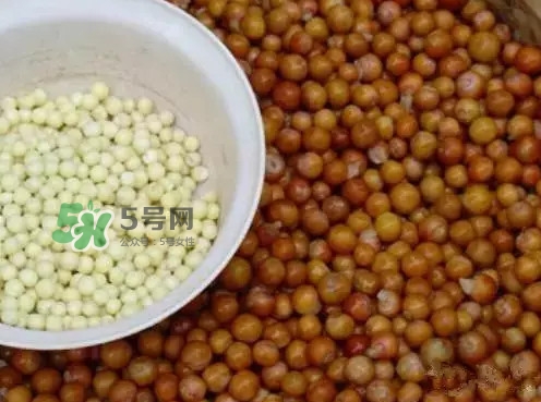雞頭米一次吃多少合適？雞頭米可以多吃嗎