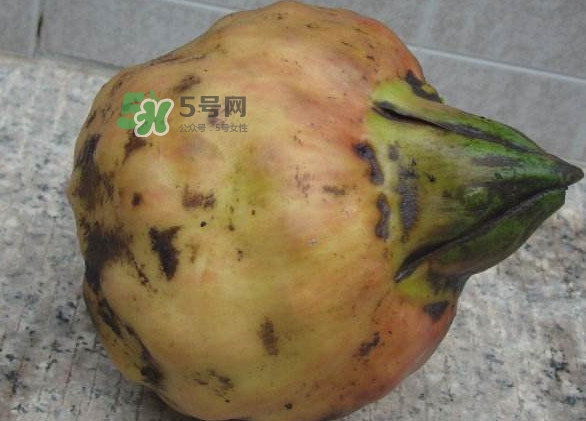 雞頭米是涼性的嗎？雞頭米是哪里的特產