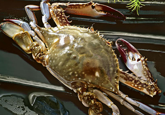 梭子蟹放冷藏還是冷凍？梭子蟹可以放速凍嗎？