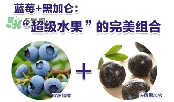 fancl藍(lán)莓護(hù)眼怎么樣？fancl藍(lán)莓護(hù)眼和pola護(hù)眼哪個(gè)好
