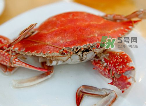 梭子蟹可以清蒸嗎？梭子蟹蒸還是煮？