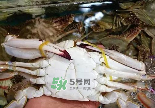 梭子蟹放冷藏還是冷凍？梭子蟹可以放速凍嗎？