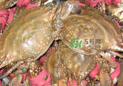梭子蟹放冷藏還是冷凍？梭子蟹可以放速凍嗎？