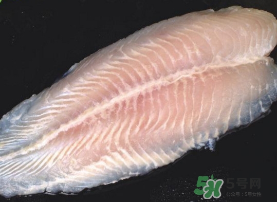 龍利魚有刺嗎？龍利魚有魚鱗嗎