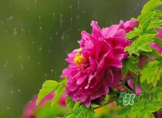 2017處暑會(huì)下雨嗎？處暑會(huì)下雨好嗎？