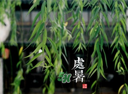 2017處暑還熱嗎？2017處暑后天氣還熱嗎？