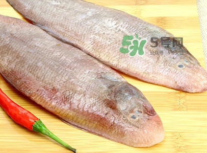 寶寶多大能吃龍利魚？幾個月的寶寶可以吃龍利魚