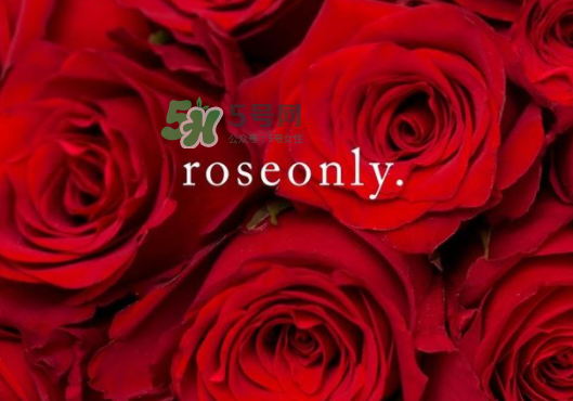 2017七夕禮盒roseonly多少錢(qián)？roseonly巨型玫瑰禮盒多少錢(qián)？
