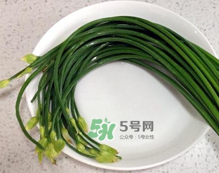 吃韭菜苔回奶嗎？韭菜苔和蒜苗是一回事嗎