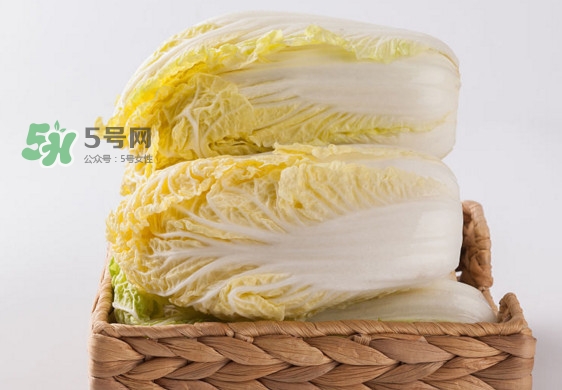 娃娃菜是什么季節(jié)的？娃娃菜什么時(shí)候種植