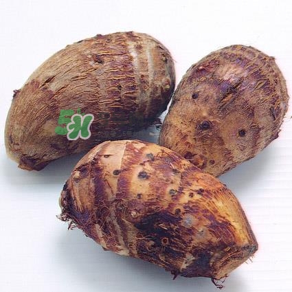中秋節(jié)為什么吃芋頭？中秋節(jié)吃芋頭的來(lái)源