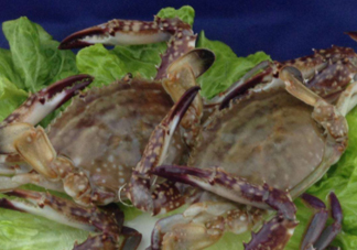 梭子蟹放冷藏能活多久？梭子蟹放冷凍保存多久？