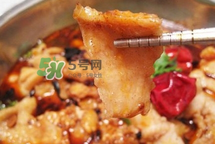 龍利魚有刺嗎？龍利魚有魚鱗嗎