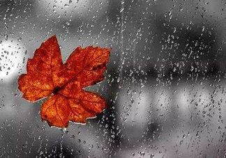 2017處暑會下雨嗎？處暑會下雨好嗎？
