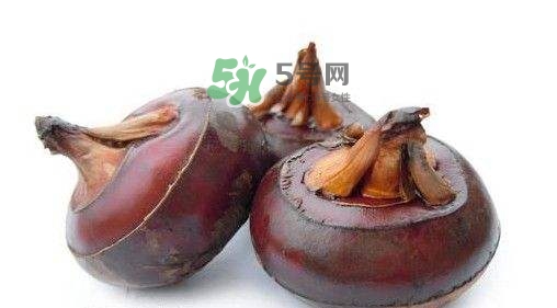 野荸薺怎么吃？野荸薺的食用功效