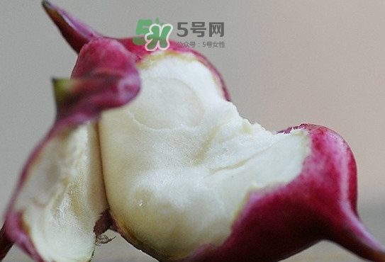 菱角什么時候上市？菱角什么時候成熟