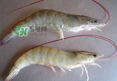 太湖白蝦多少錢一斤？太湖白蝦干多少錢一斤