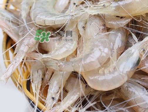 白蝦是河蝦還是海蝦？白蝦是寒性的嗎