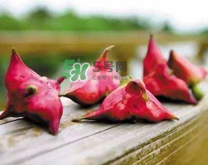 紅菱什么時(shí)候上市？什么時(shí)候采紅菱