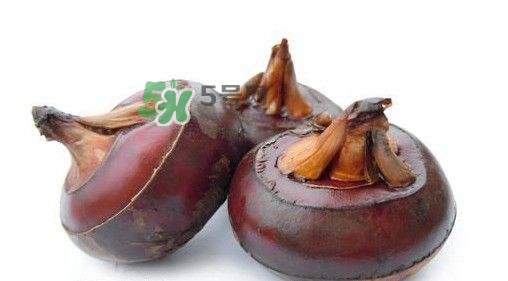 吃荸薺有什么好處？吃荸薺的禁忌