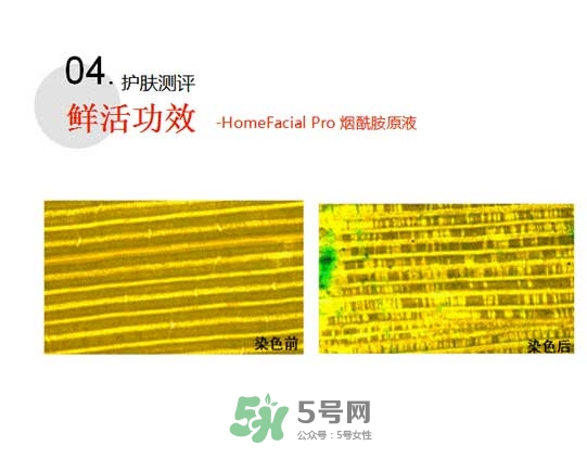 homefacialpro煙酰胺原液怎么樣？hfp煙酰胺原液好用嗎